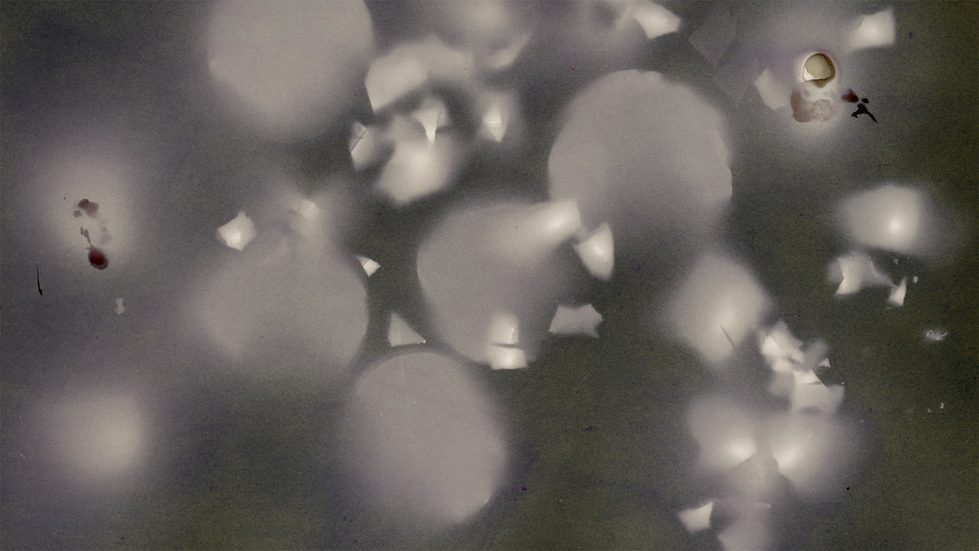 Crop Toned Eggs